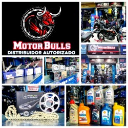 MOTOR BULLS