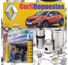 CARLIREPUESTOS
