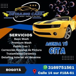 DETAILING CARS GVO