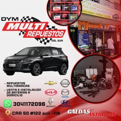 DYM MULTI REPUESTOS DEL SUR