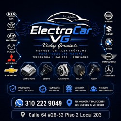 ELECTROCAR VG