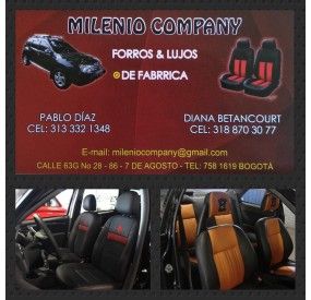 MILENIO COMPANY