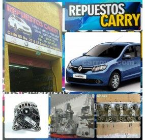 REPUESTOS CARRY
