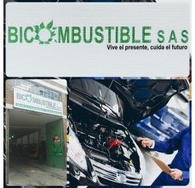 BICOMBUSTIBLE SAS
