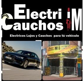 ELECTRICAUCHOS IM