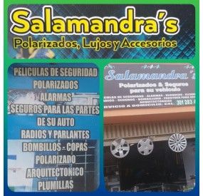SALAMANDRA'S polarizados...