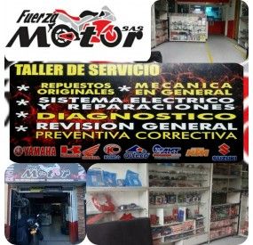 Fuerza Motor SAS