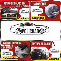 POLICHADOS