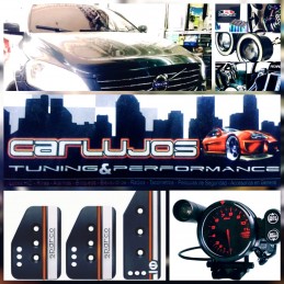 CARLUJOS