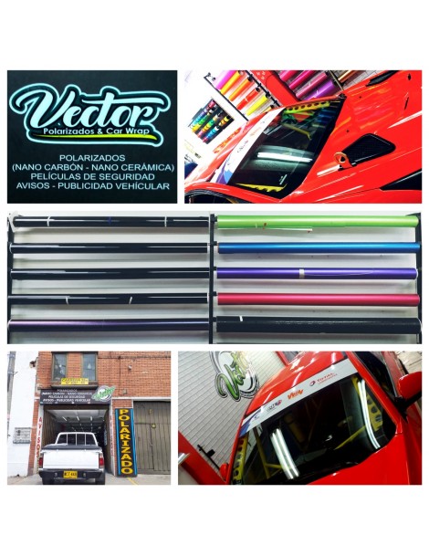 VECTOR POLARIZADOS