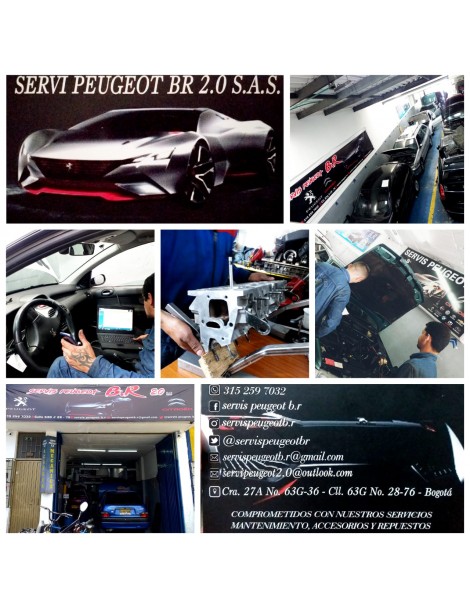 SERVI PEUGEOT BR 2.0