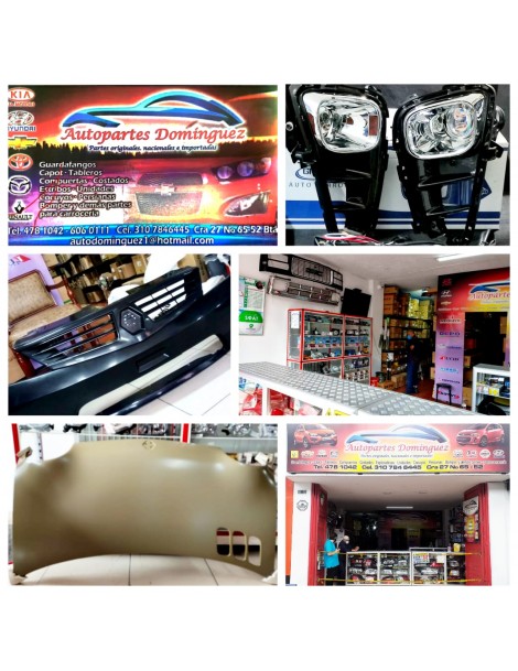 AUTOPARTES DOMÍNGUEZ