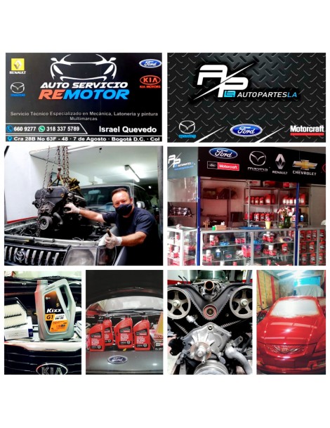 AUTOSERVICIO REMOTOR Y...