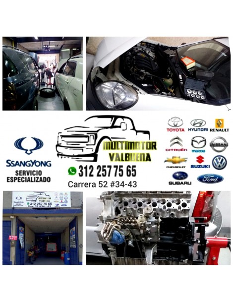 MULTIMOTOR VALBUENA