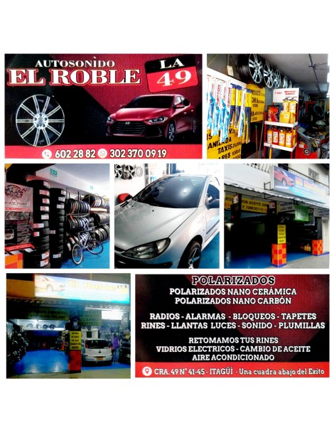 AUTOSONIDO EL ROBLE LA 49