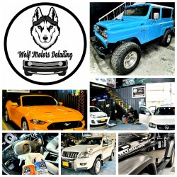 WOLF MOTORS DETAILING
