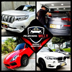 Polarizados Willy